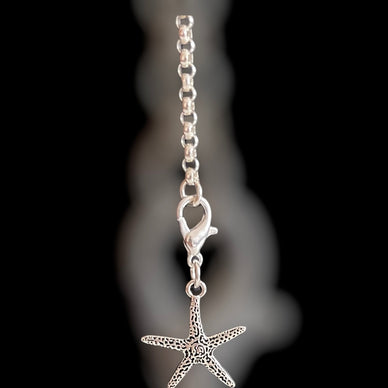 Charm Seestern